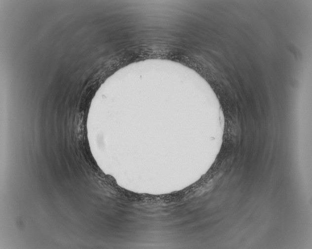 X0000110910818200907301539