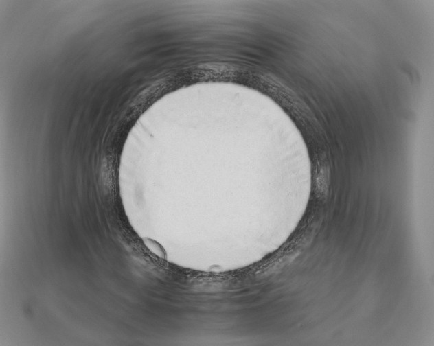 X0000110910819200907301539