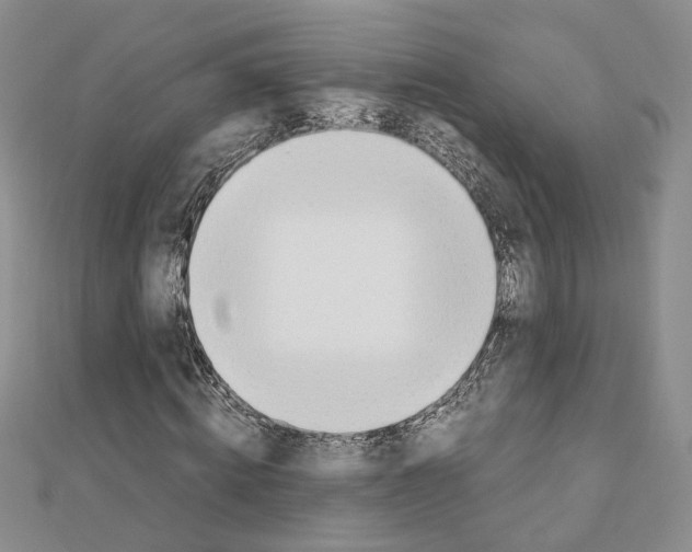 X0000110910820200907301539