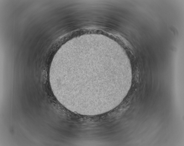 X0000110910821200907301539