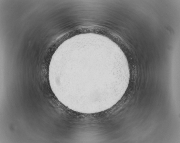 X0000110910822200907301539