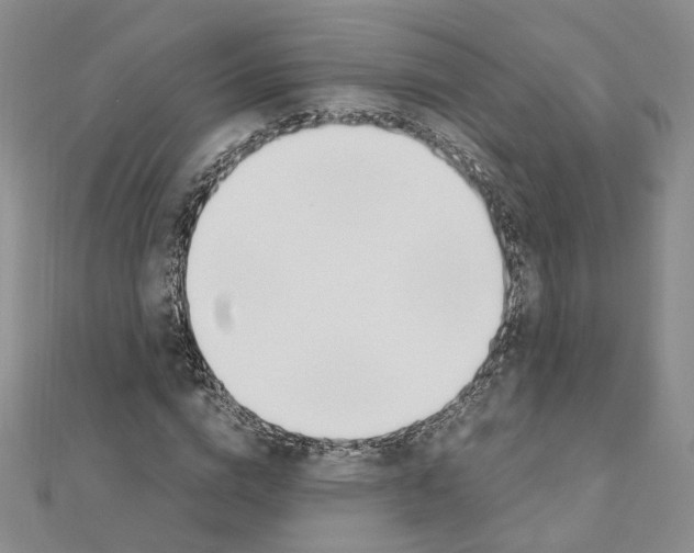 X0000110910824200907301540