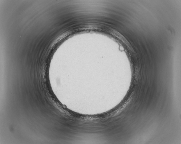 X0000110910826200907301540