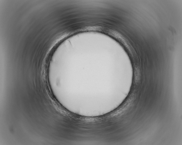 X0000110910827200907301540