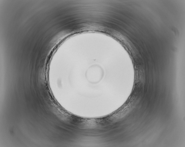 X0000110910828200907301540