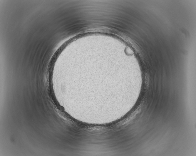 X0000110910830200907301540