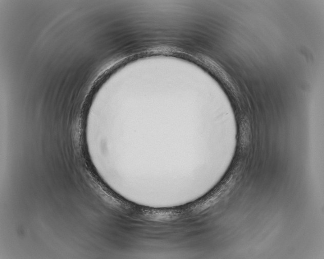 X0000110910831200907301540