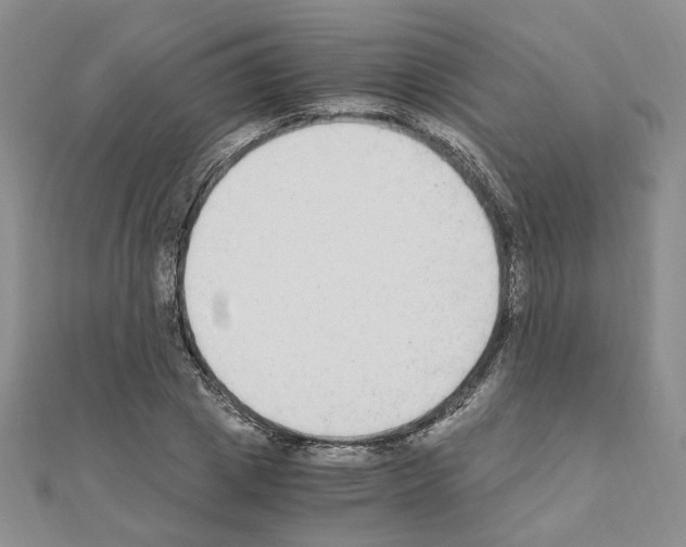 X0000110910833200907301540