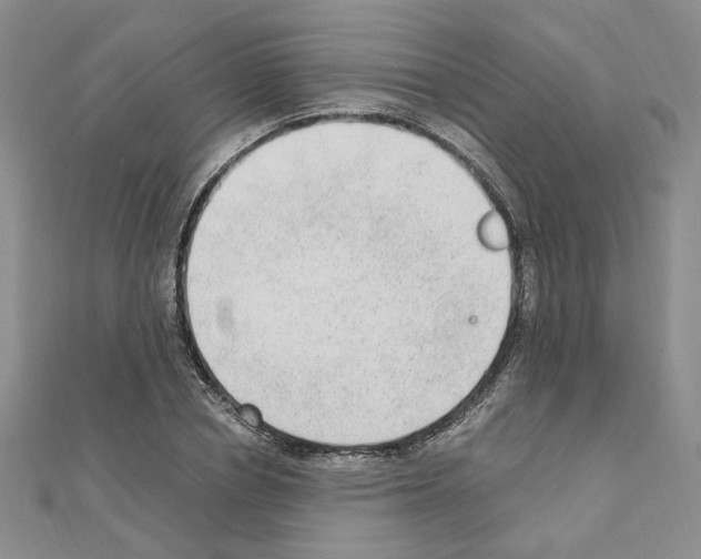 X0000110910834200907301540