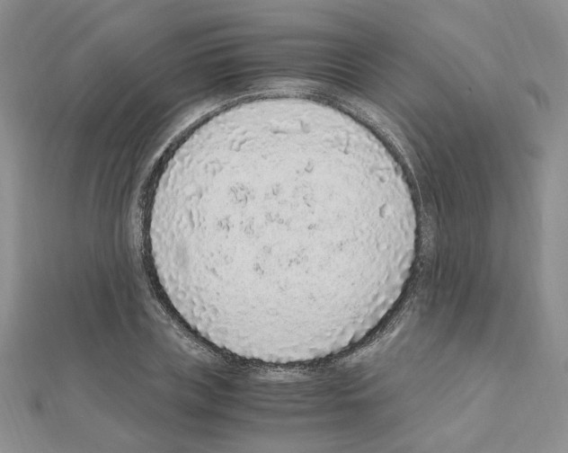 X0000110910835200907301540