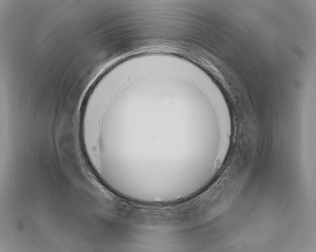 X0000110910836200907301540