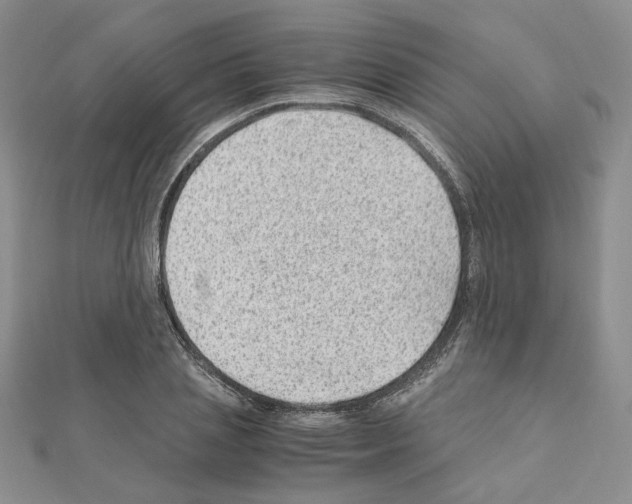 X0000110910837200907301540