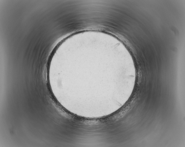 X0000110910838200907301540