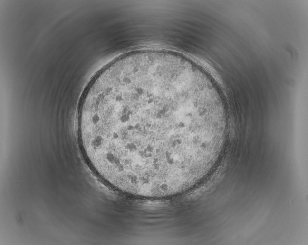 X0000110910839200907301540