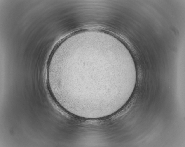 X0000110910840200907301540