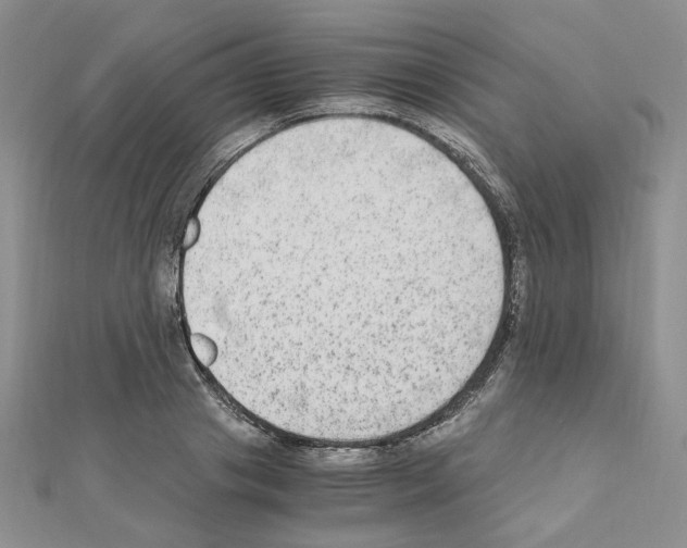 X0000110910841200907301540