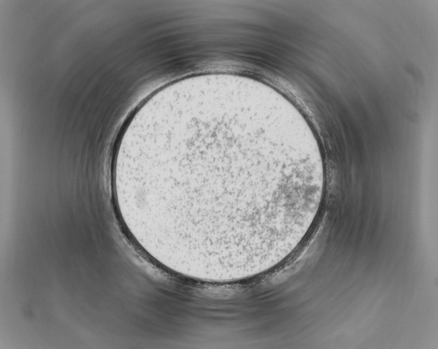 X0000110910843200907301540