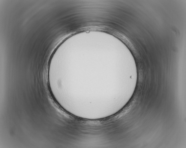 X0000110910844200907301540