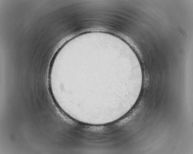 X0000110910845200907301540