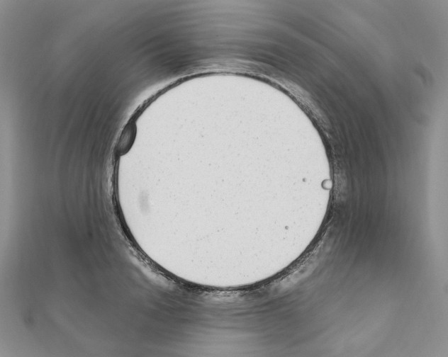 X0000110910846200907301540