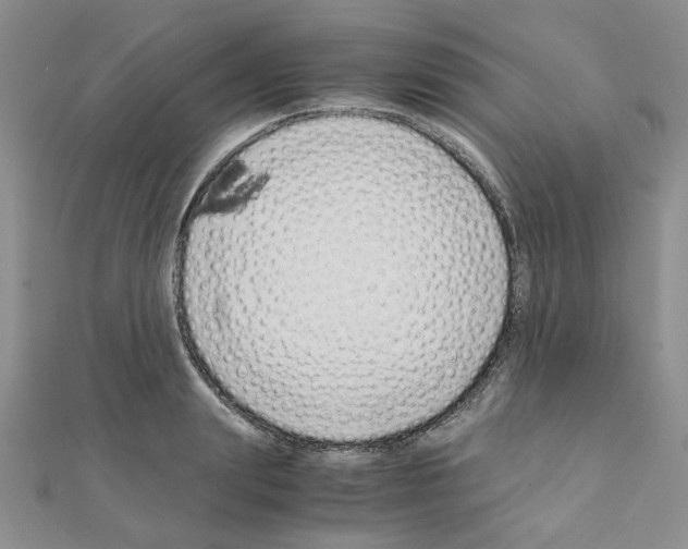 X0000110910847200907301540