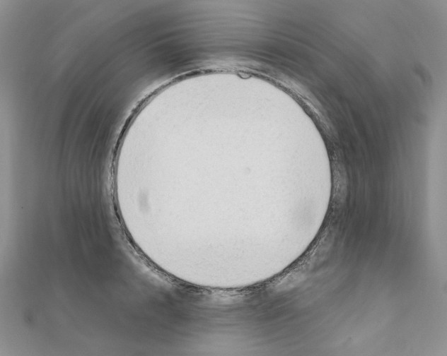 X0000110910848200907301540