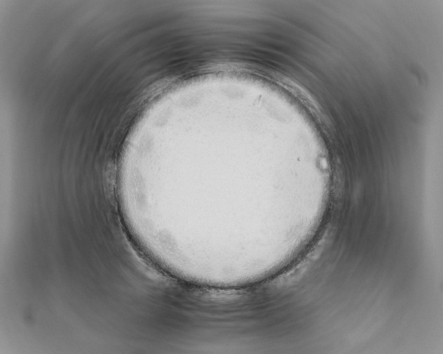 X0000110910849200907301540