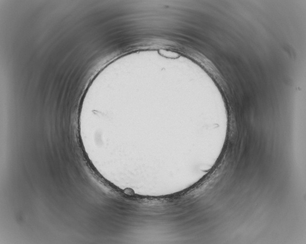 X0000110910850200907301540