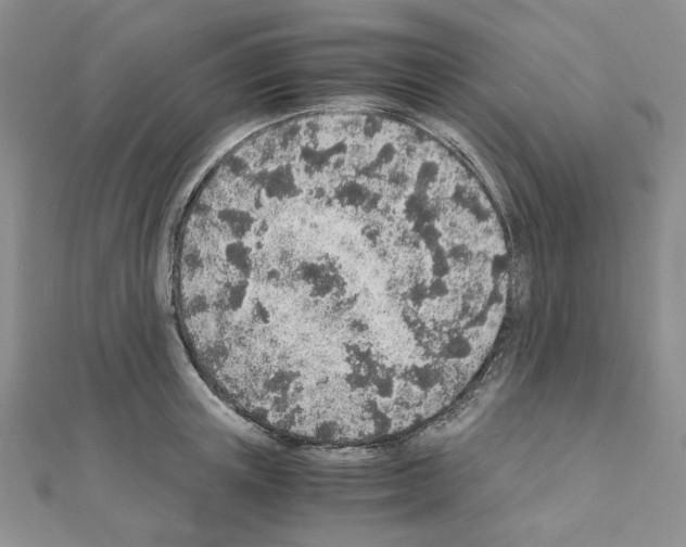 X0000110910851200907301540