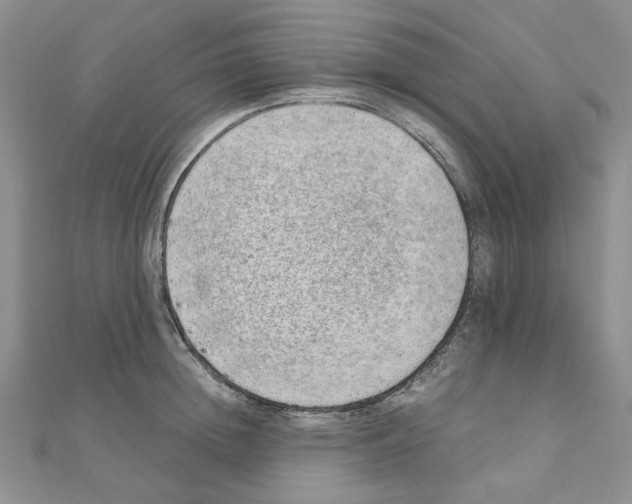 X0000110910852200907301540