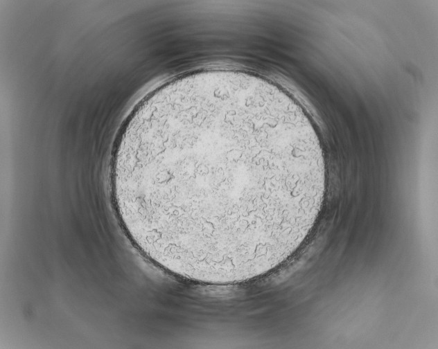 X0000110910853200907301540