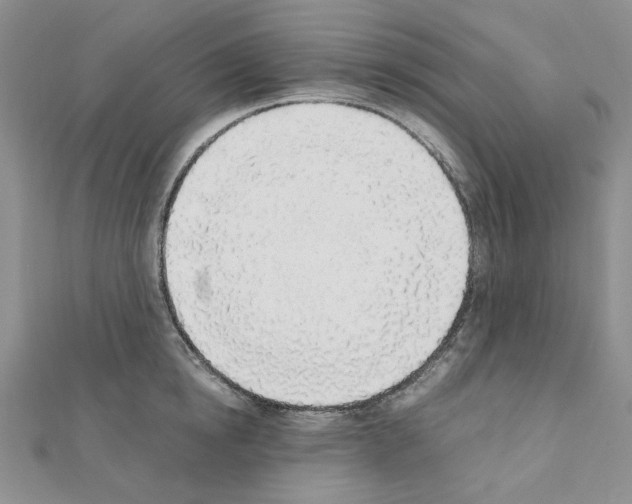 X0000110910854200907301540