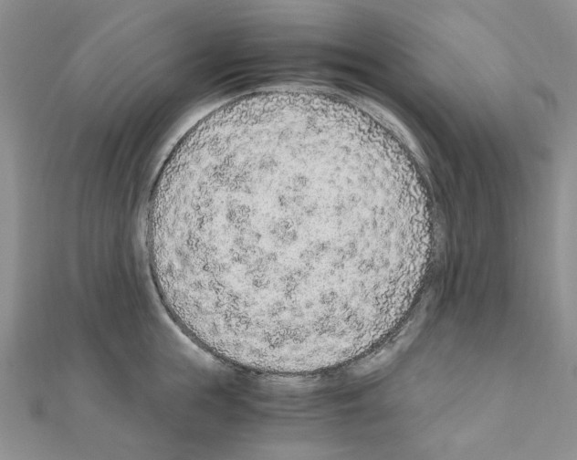 X0000110910855200907301540