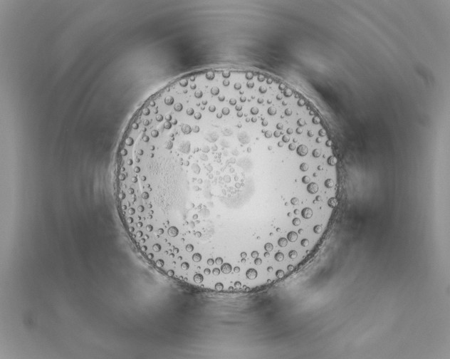 X0000110910856200907301540