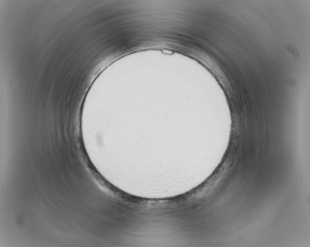 X0000110910858200907301540