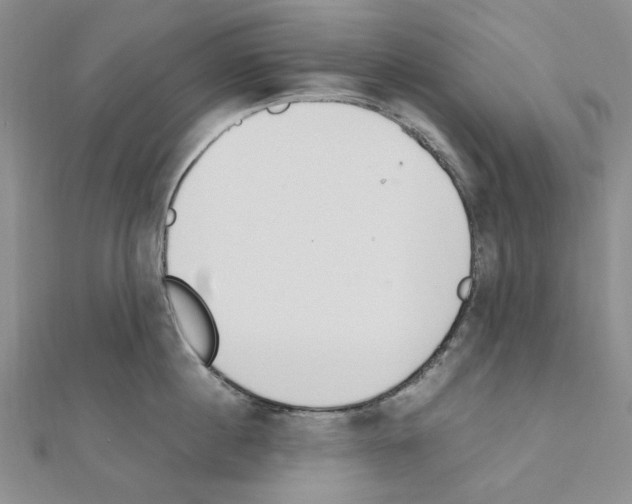 X0000110910860200907301540