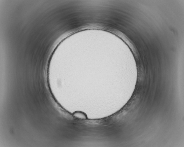 X0000110910861200907301540