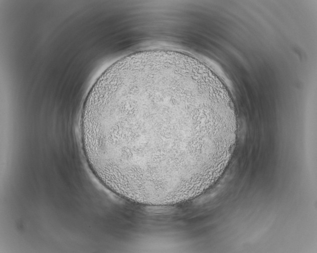 X0000110910863200907301540