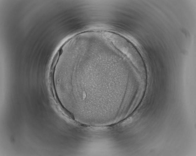 X0000110910864200907301540