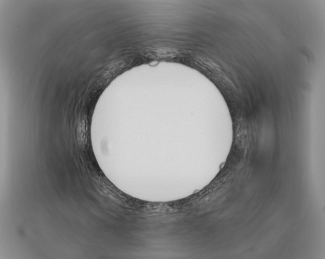 X0000110910866200907301539