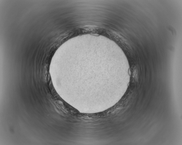 X0000110910868200907301539