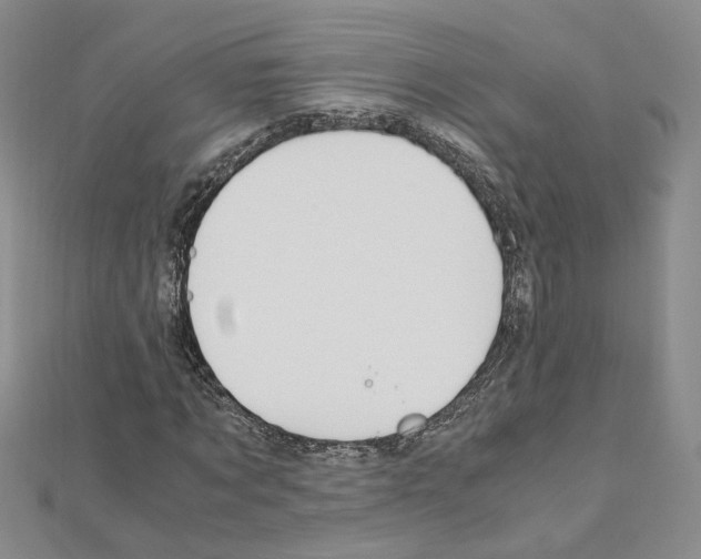 X0000110910869200907301539