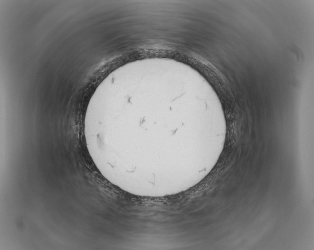 X0000110910870200907301539