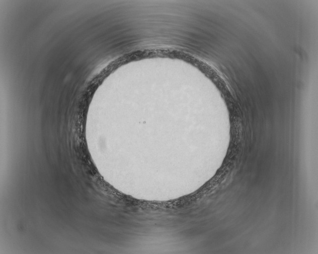 X0000110910871200907301539