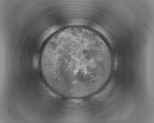 X0000110910874200907301539