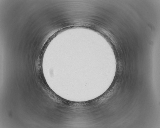 X0000110910875200907301539