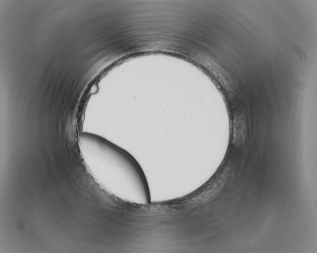 X0000110910876200907301539