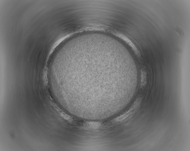 X0000110910878200907301539