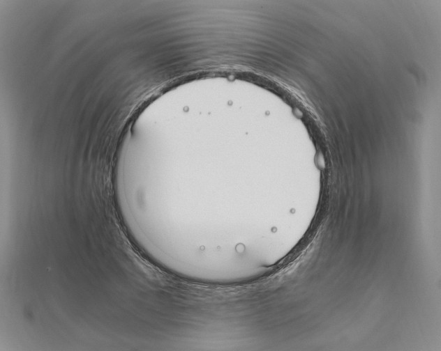 X0000110910881200907301539