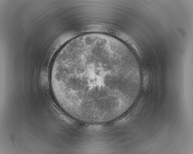 X0000110910882200907301539